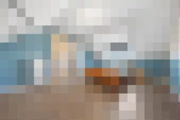 Bosbesstraat 7 Hoogeveen thumbnail 17