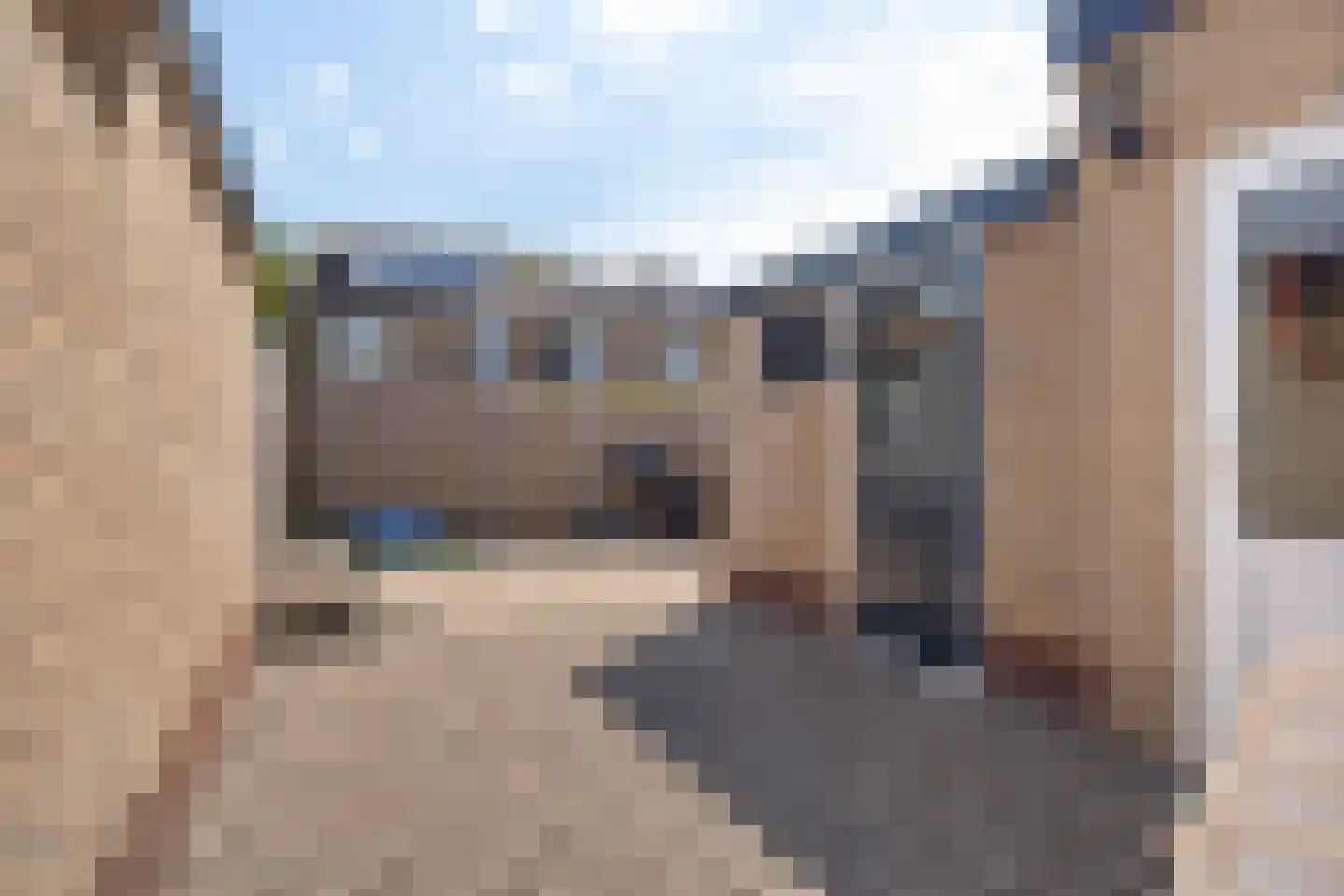 Bosbesstraat 7 Hoogeveen thumbnail 26