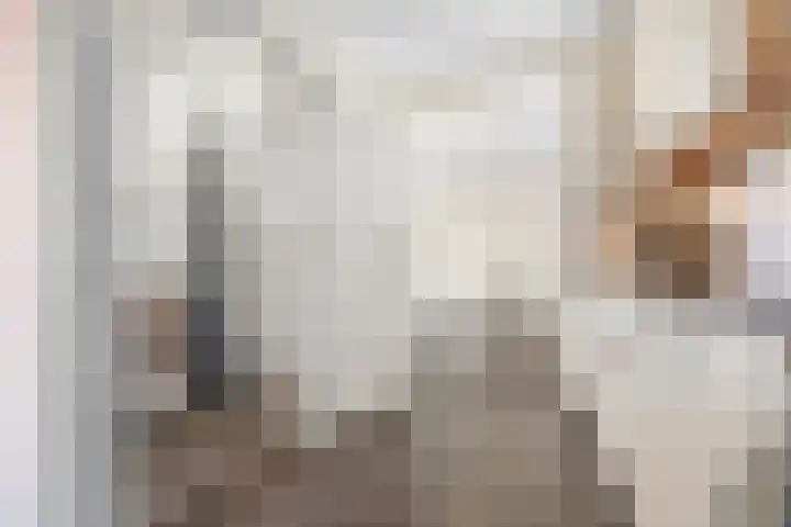 Bosbesstraat 7 Hoogeveen thumbnail 9