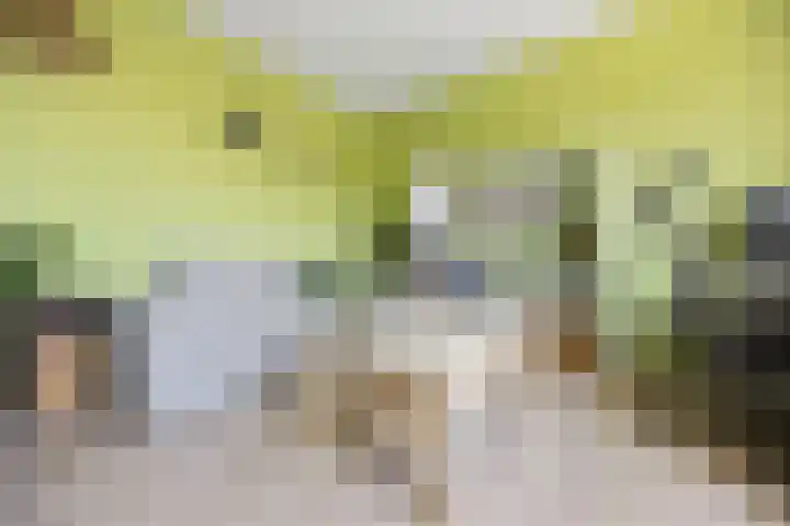 Bosbesstraat 8 C Nijmegen thumbnail 5