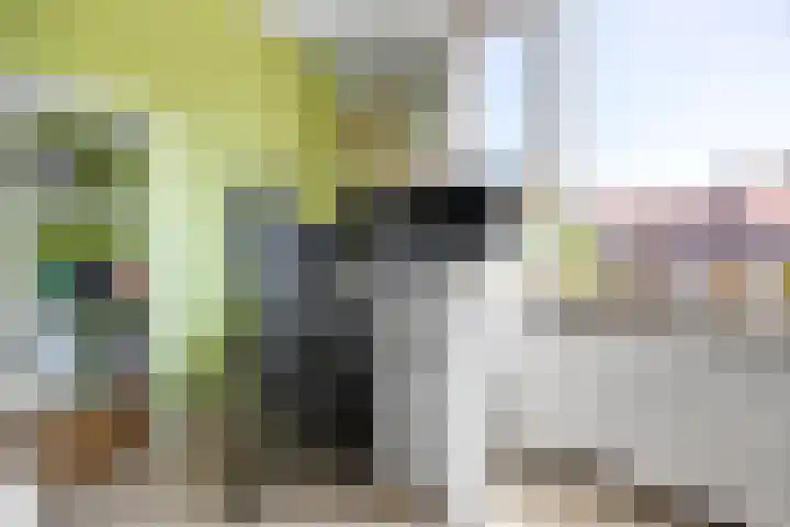 Bosbesstraat 8 C Nijmegen thumbnail 7