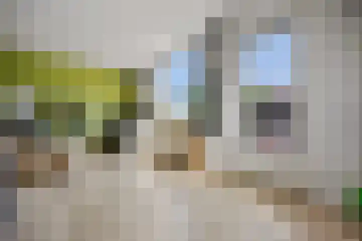 Bosbesstraat 8 C Nijmegen thumbnail 8