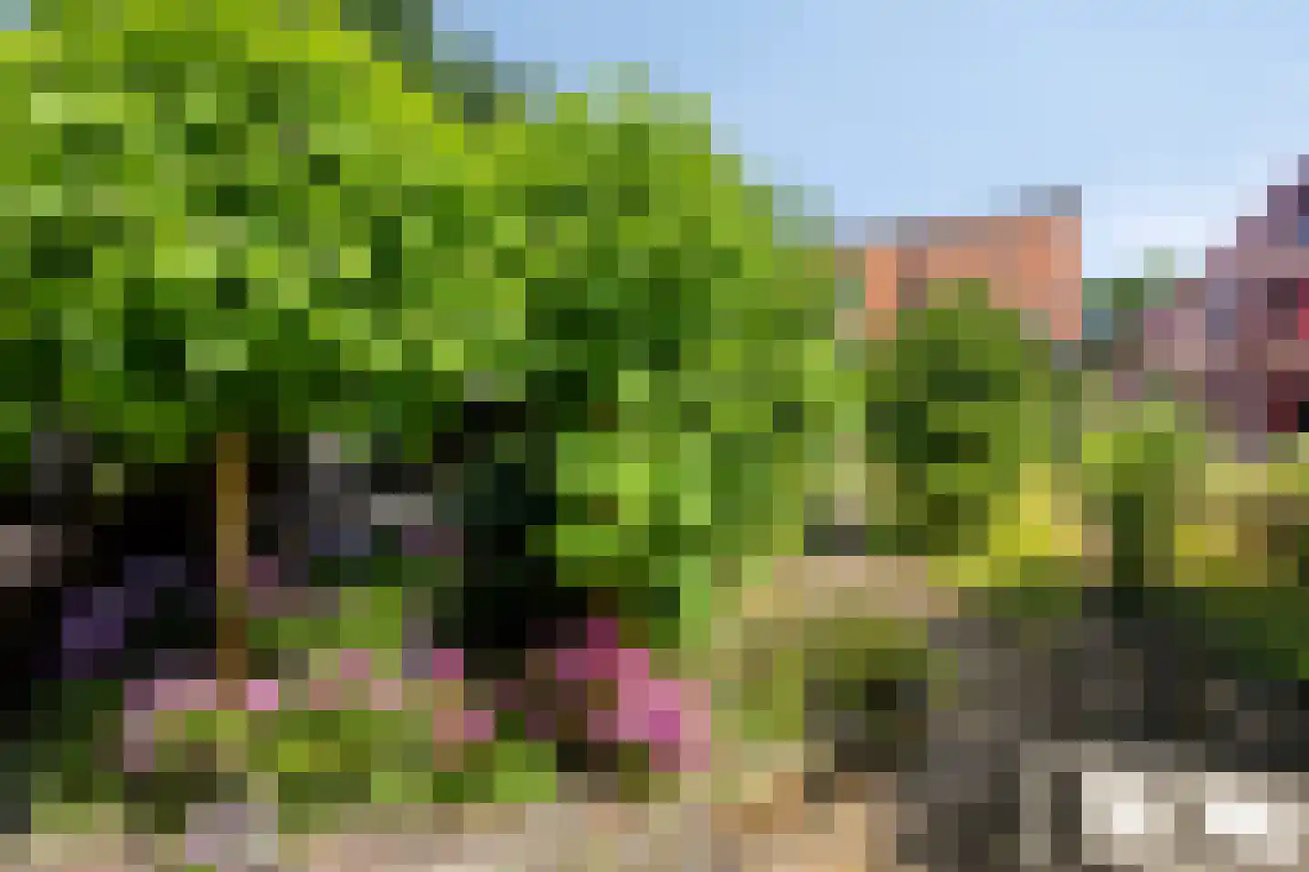 Bosboom Toussaintlaan 13 Heemstede thumbnail 20