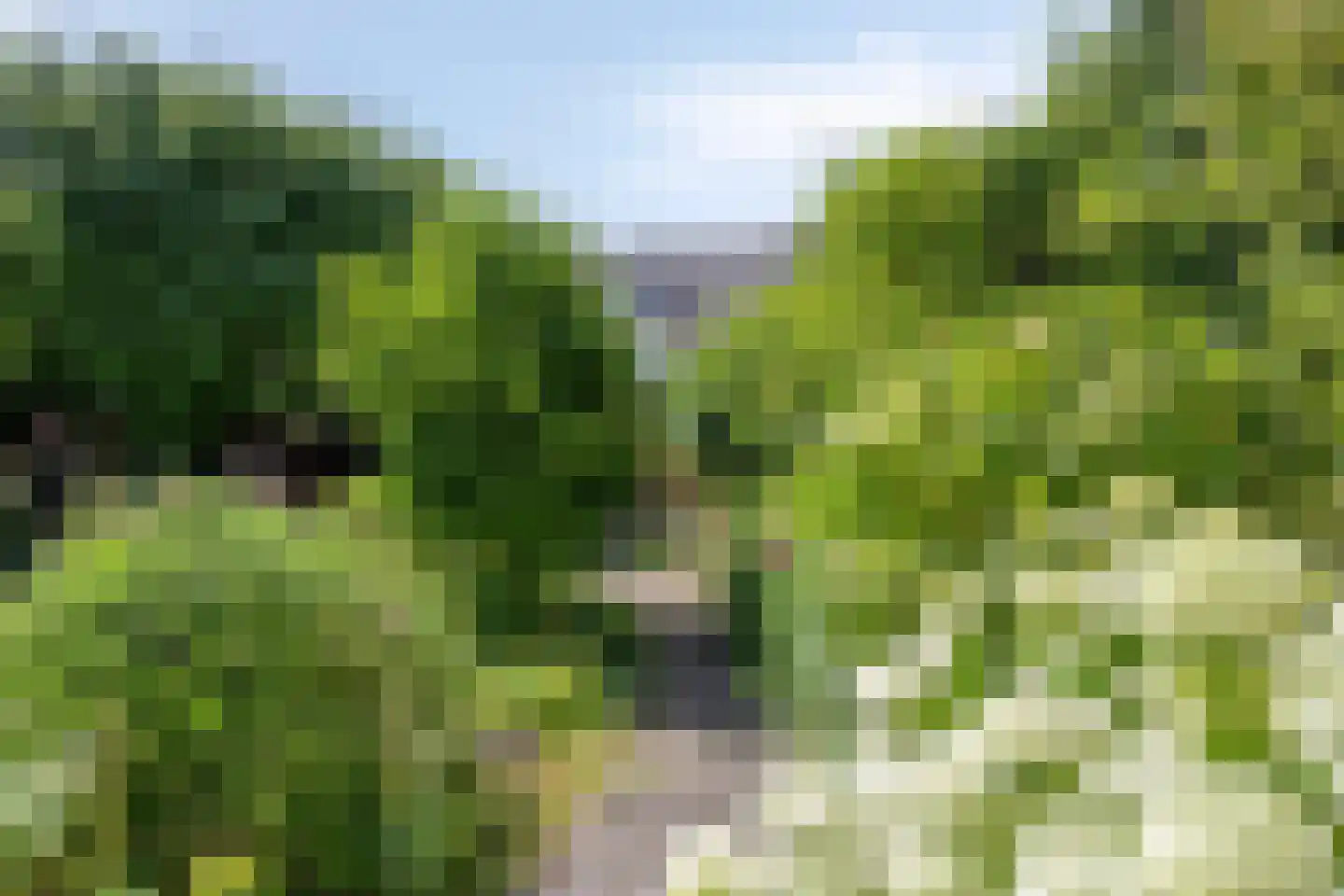 Bosboom Toussaintlaan 13 Heemstede thumbnail 21