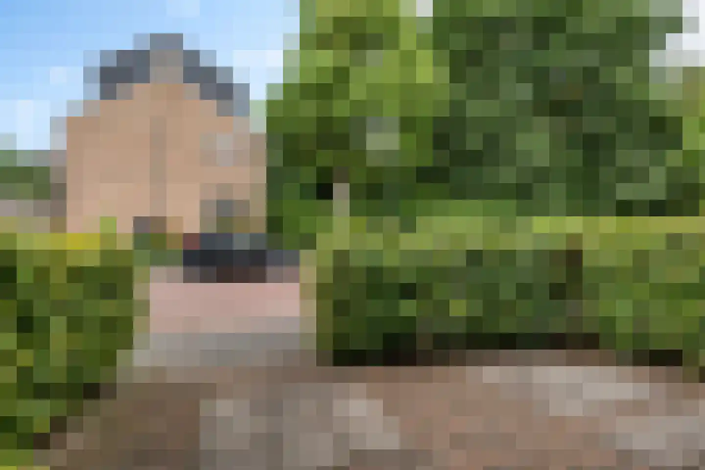 Bosboom Toussaintlaan 33 Amstelveen thumbnail 30