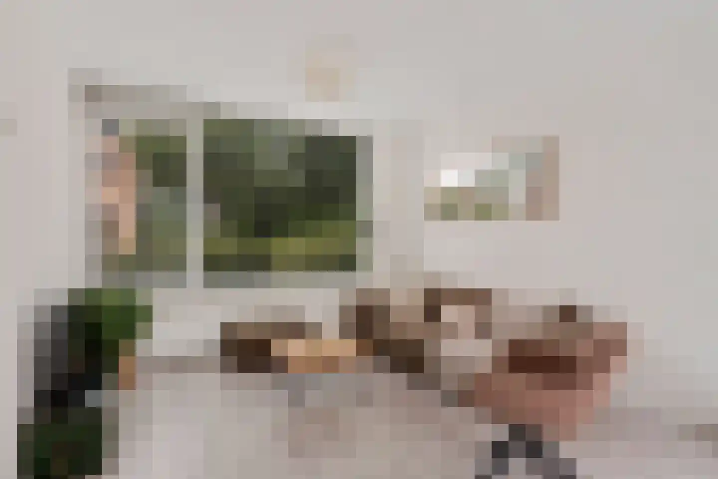 Bosboom Toussaintlaan 33 Amstelveen thumbnail 4