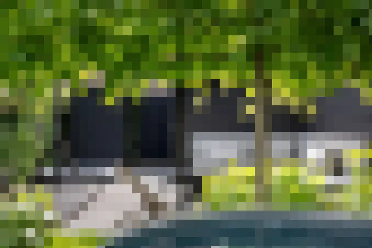 Bosboom Toussaintlaan 40 Heemstede thumbnail 26