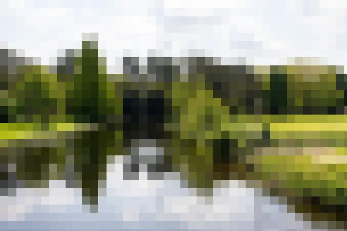 Bosboom Toussaintlaan 40 Heemstede thumbnail 30