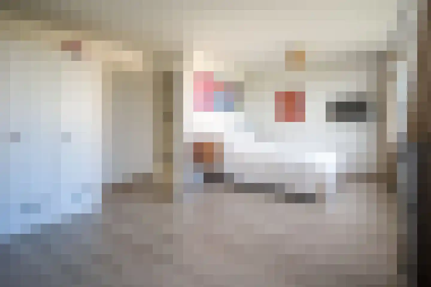 Bosboom-Toussaintlaan 5 Driehuis NH thumbnail 11