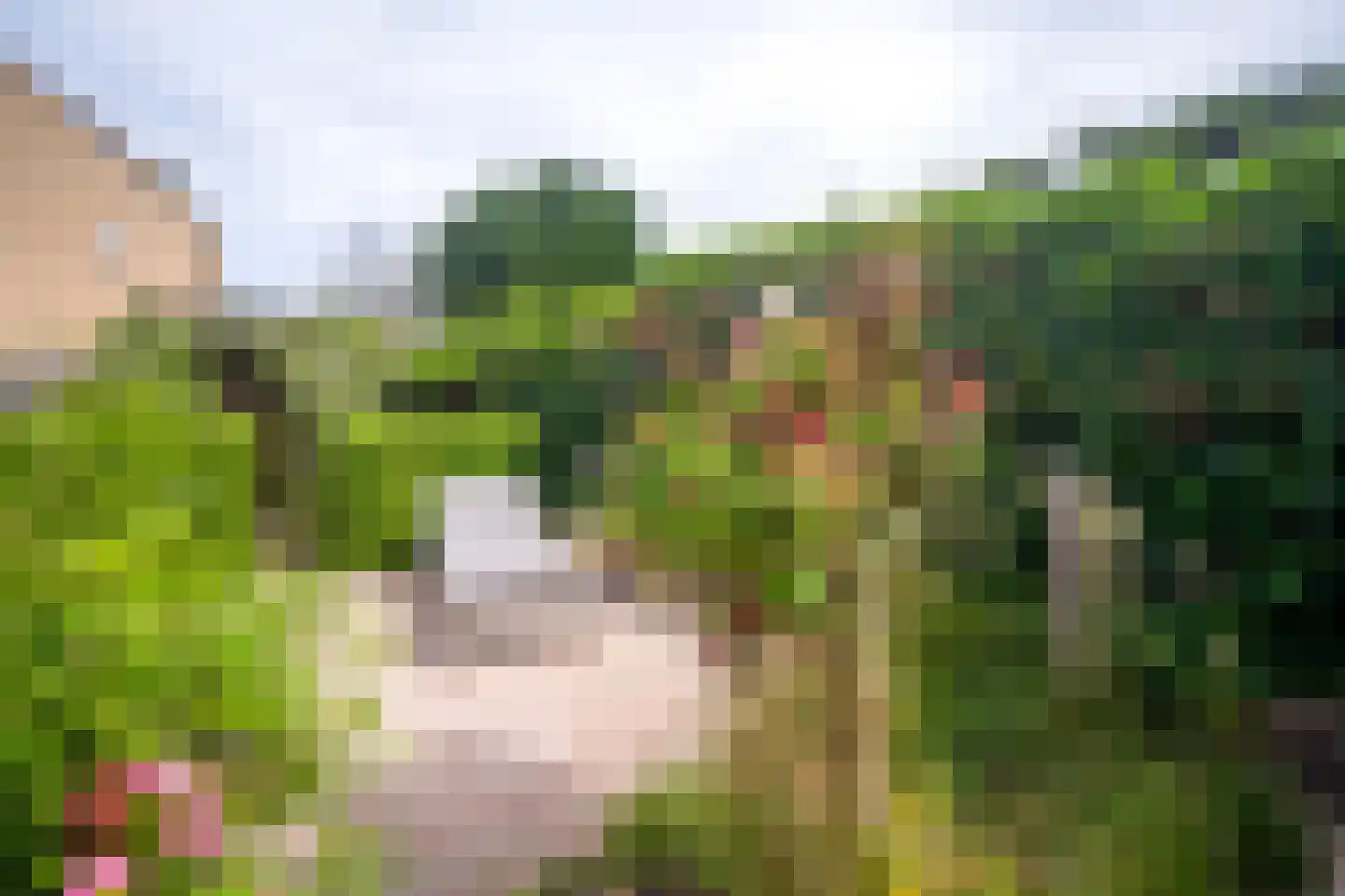 Bosboom-Toussaintlaan 5 Driehuis NH thumbnail 20