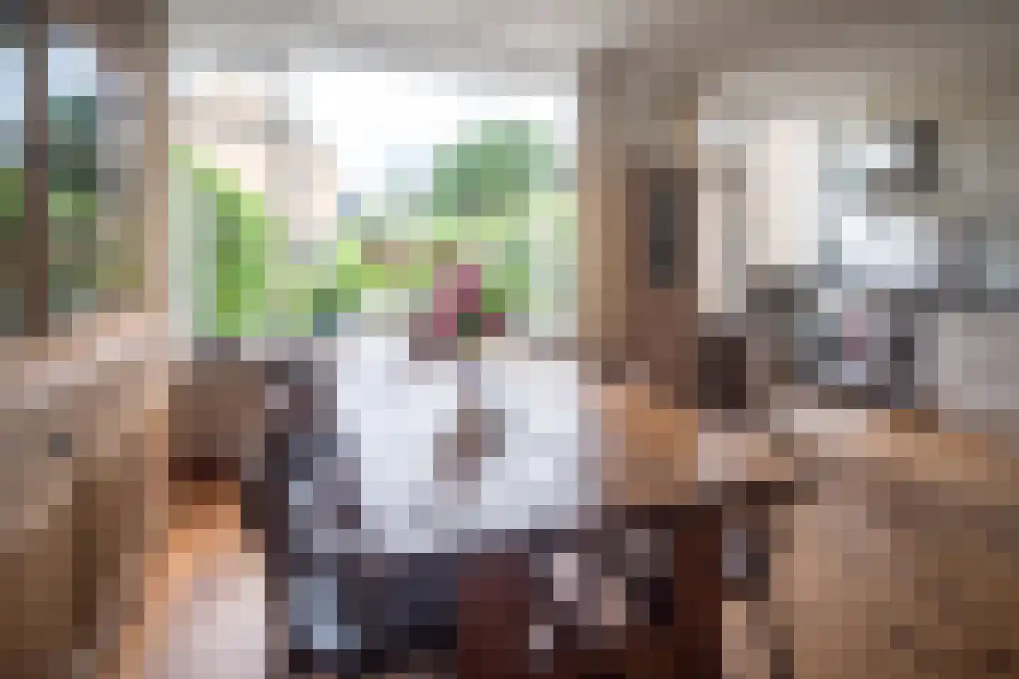 Bosboom-Toussaintlaan 5 Driehuis NH thumbnail 7