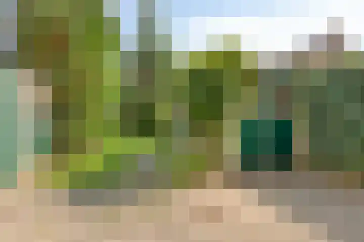 Bosboom Toussaintlaan 72 Heemstede thumbnail 13