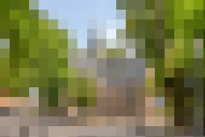 Bosboom Toussaintlaan 72 Heemstede thumbnail 33