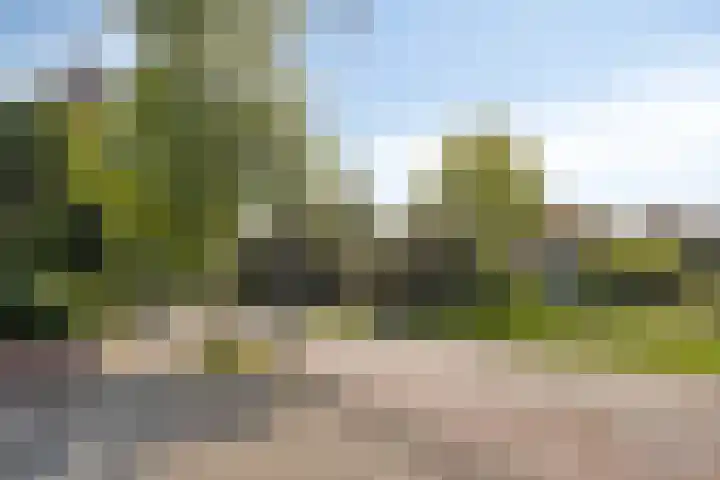Bosboom Toussaintlaan 72 Heemstede thumbnail 34