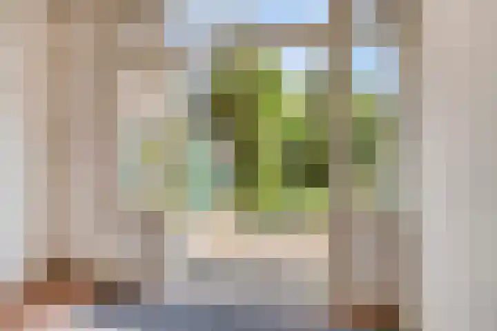 Bosboom Toussaintlaan 72 Heemstede thumbnail 8