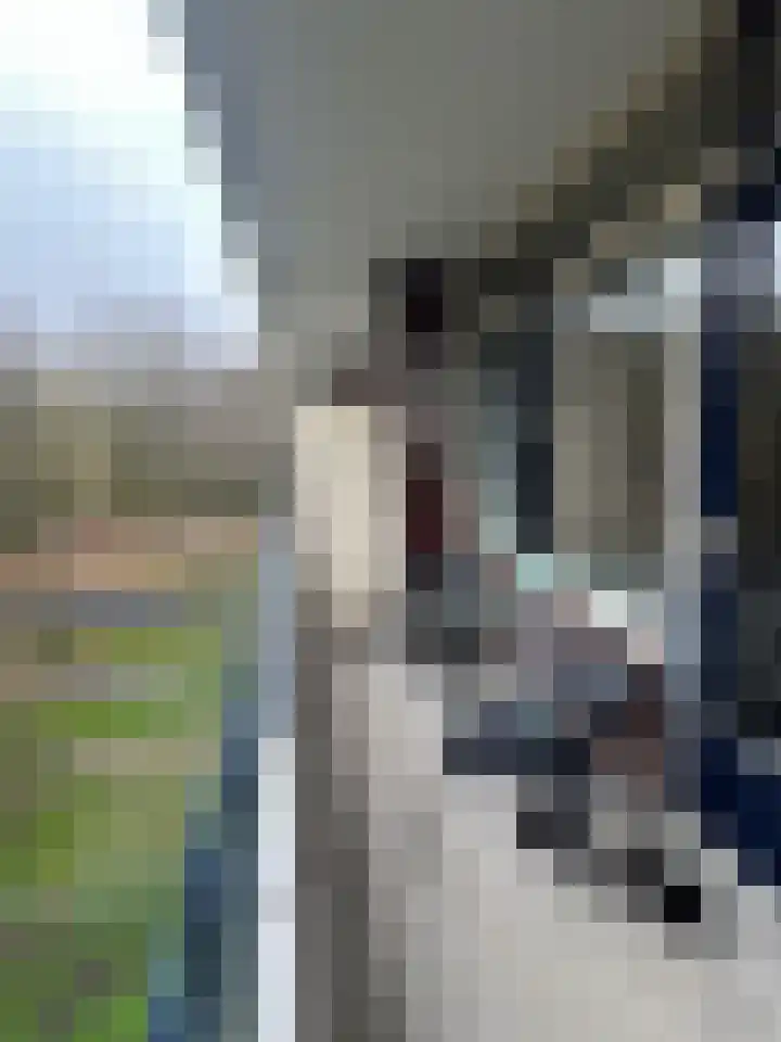 Bosboom-Toussaintplein 102 Delft thumbnail 24