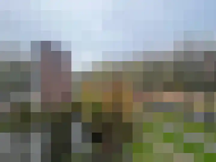 Bosboom-Toussaintplein 102 Delft thumbnail 25