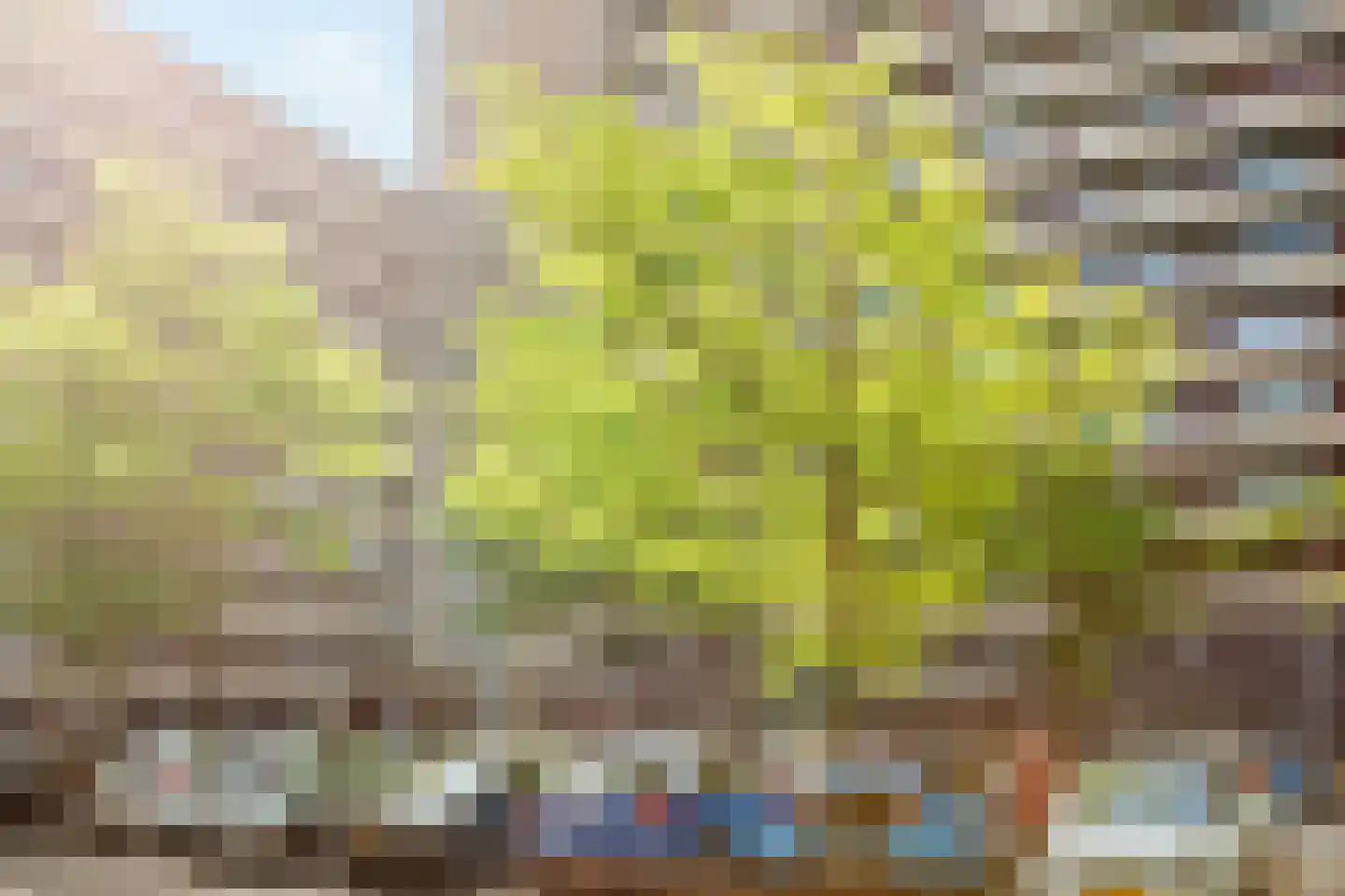 Bosboom-Toussaintplein 136 Delft thumbnail 4
