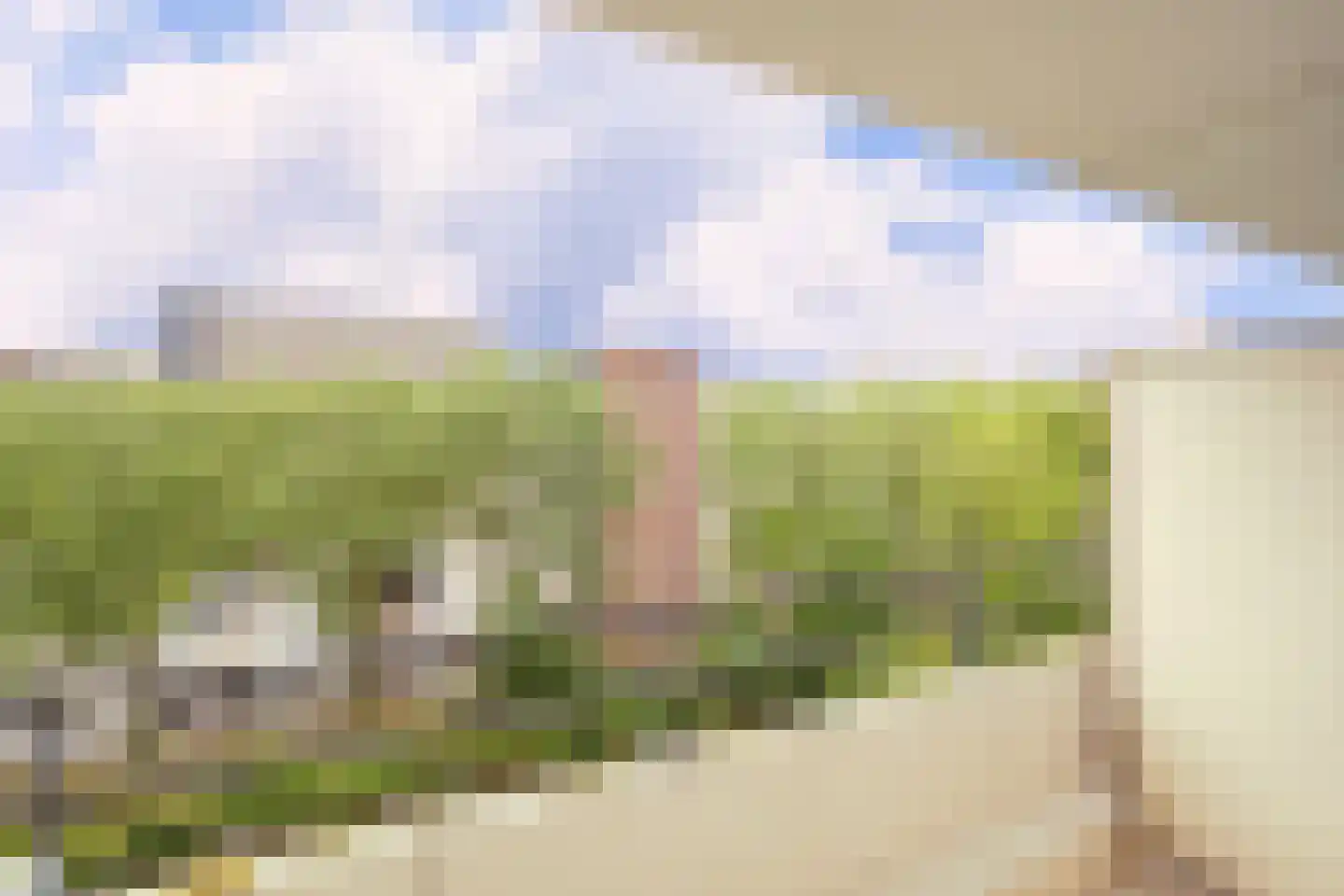 Bosboom-Toussaintplein 145 Delft thumbnail 15