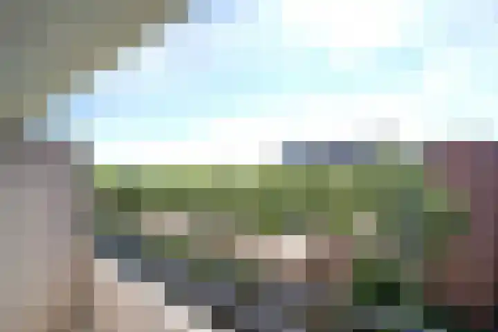 Bosboom-Toussaintplein 146 Delft thumbnail 20
