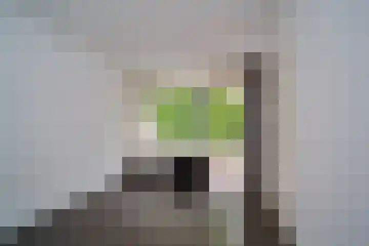 Bosboom-Toussaintplein 17 Delft thumbnail 16