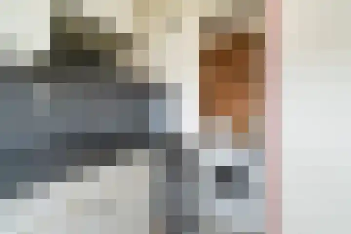 Bosboom-Toussaintplein 173 Delft thumbnail 14