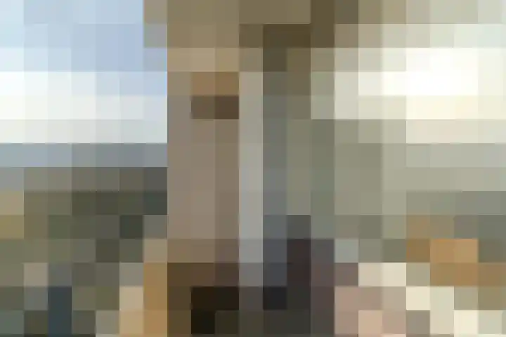 Bosboom-Toussaintplein 178 Delft thumbnail 19
