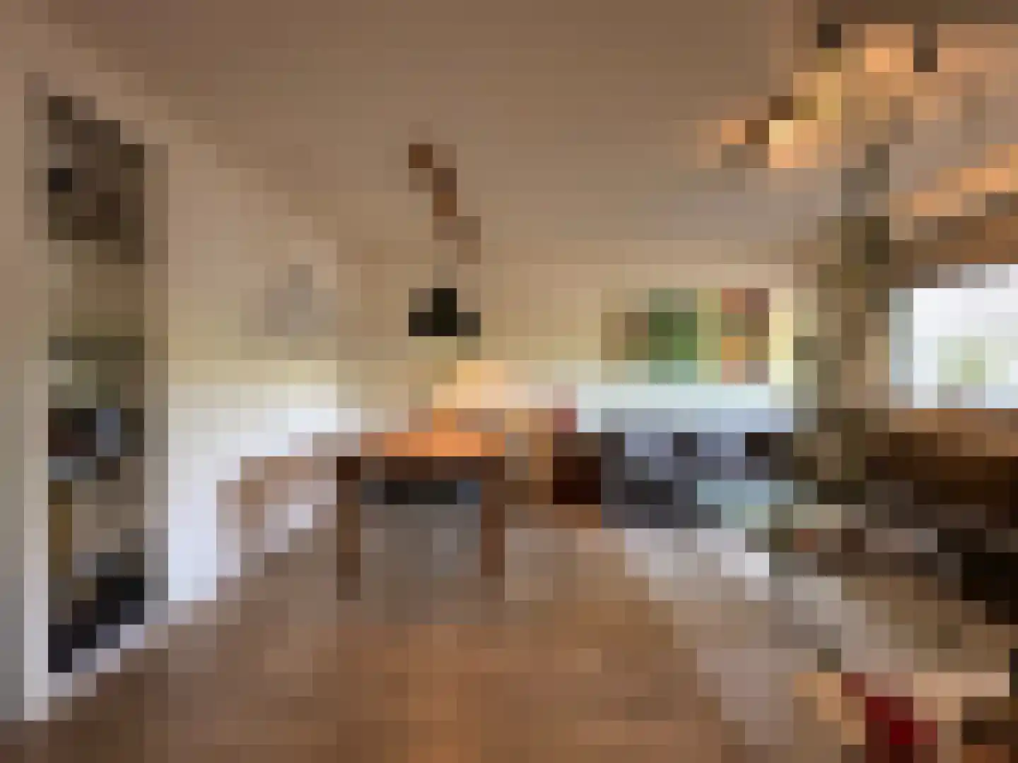 Bosboom-Toussaintplein 19 Delft thumbnail 11
