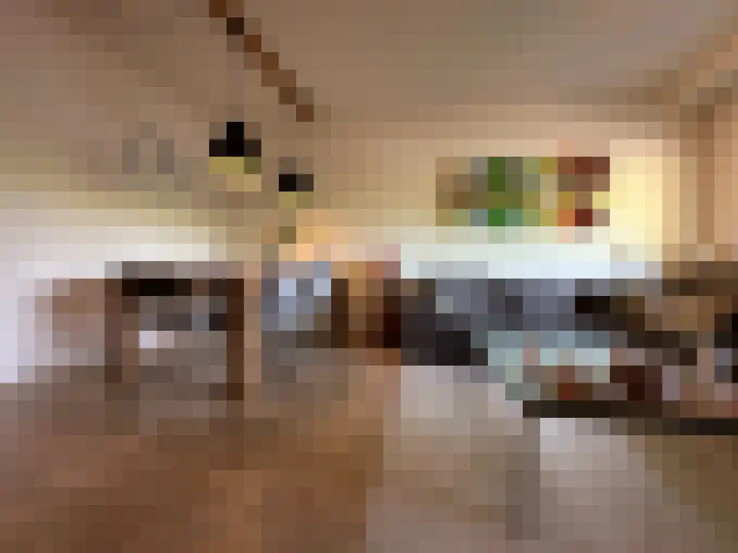 Bosboom-Toussaintplein 19 Delft thumbnail 14