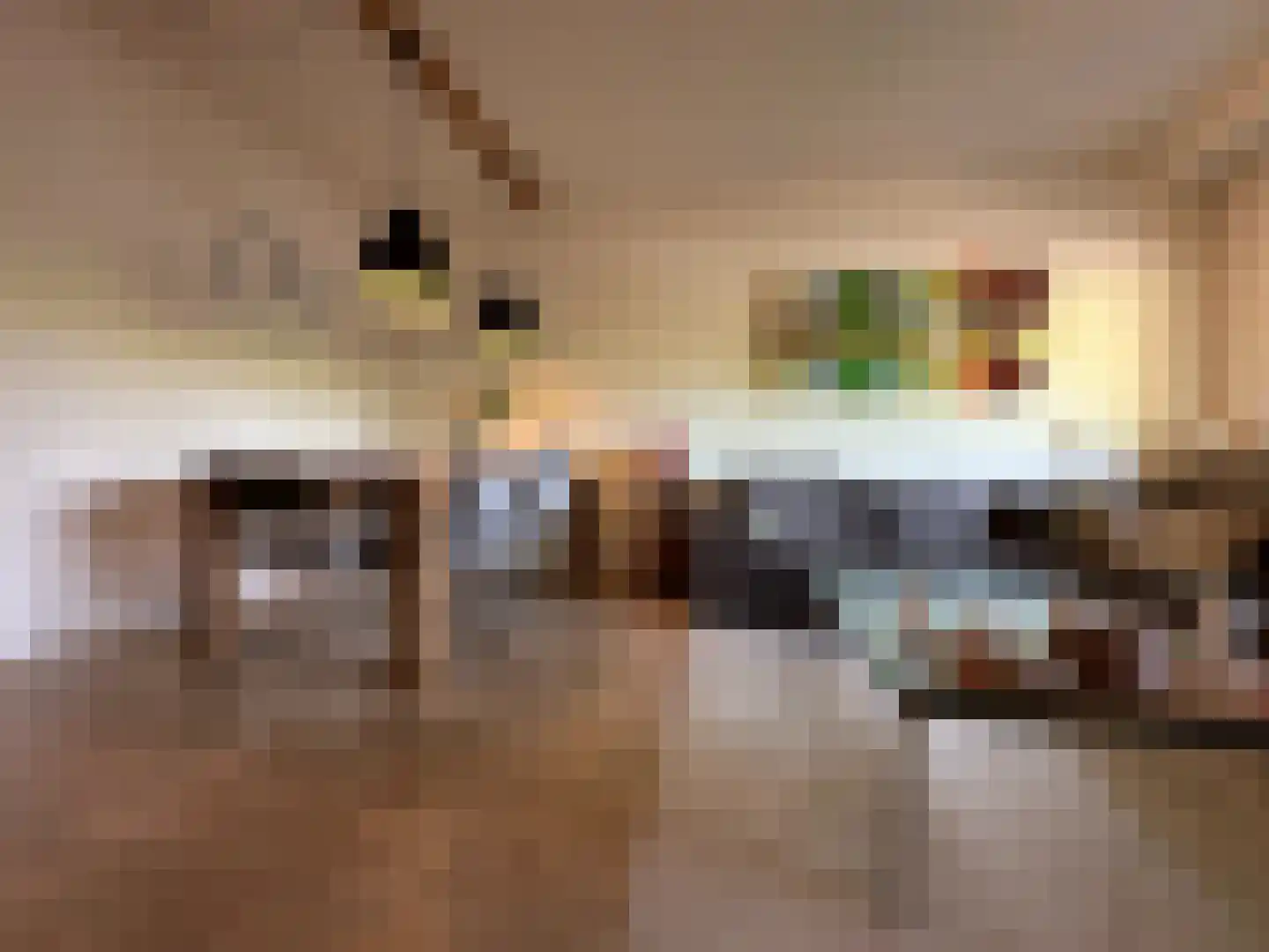 Bosboom-Toussaintplein 19 Delft thumbnail 14