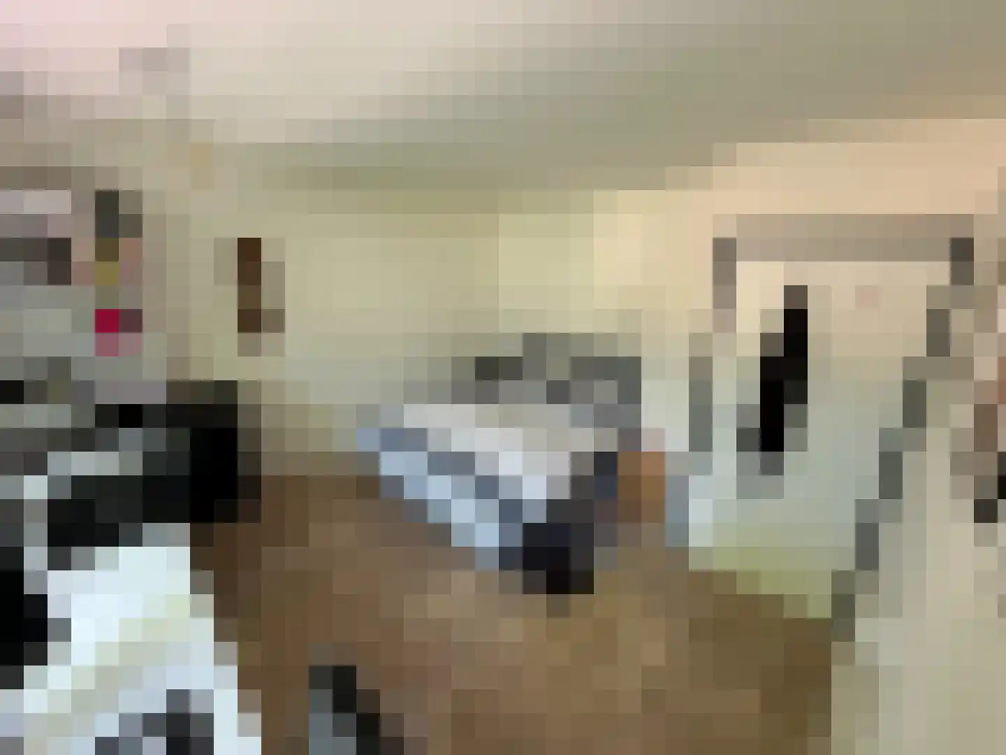 Bosboom-Toussaintplein 19 Delft thumbnail 19