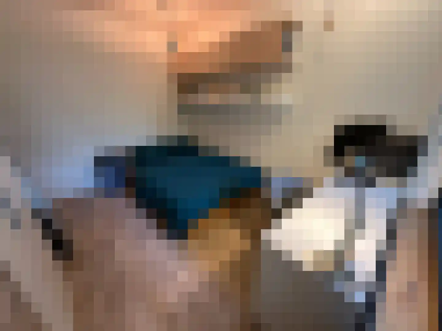 Bosboom-Toussaintplein 19 Delft thumbnail 22
