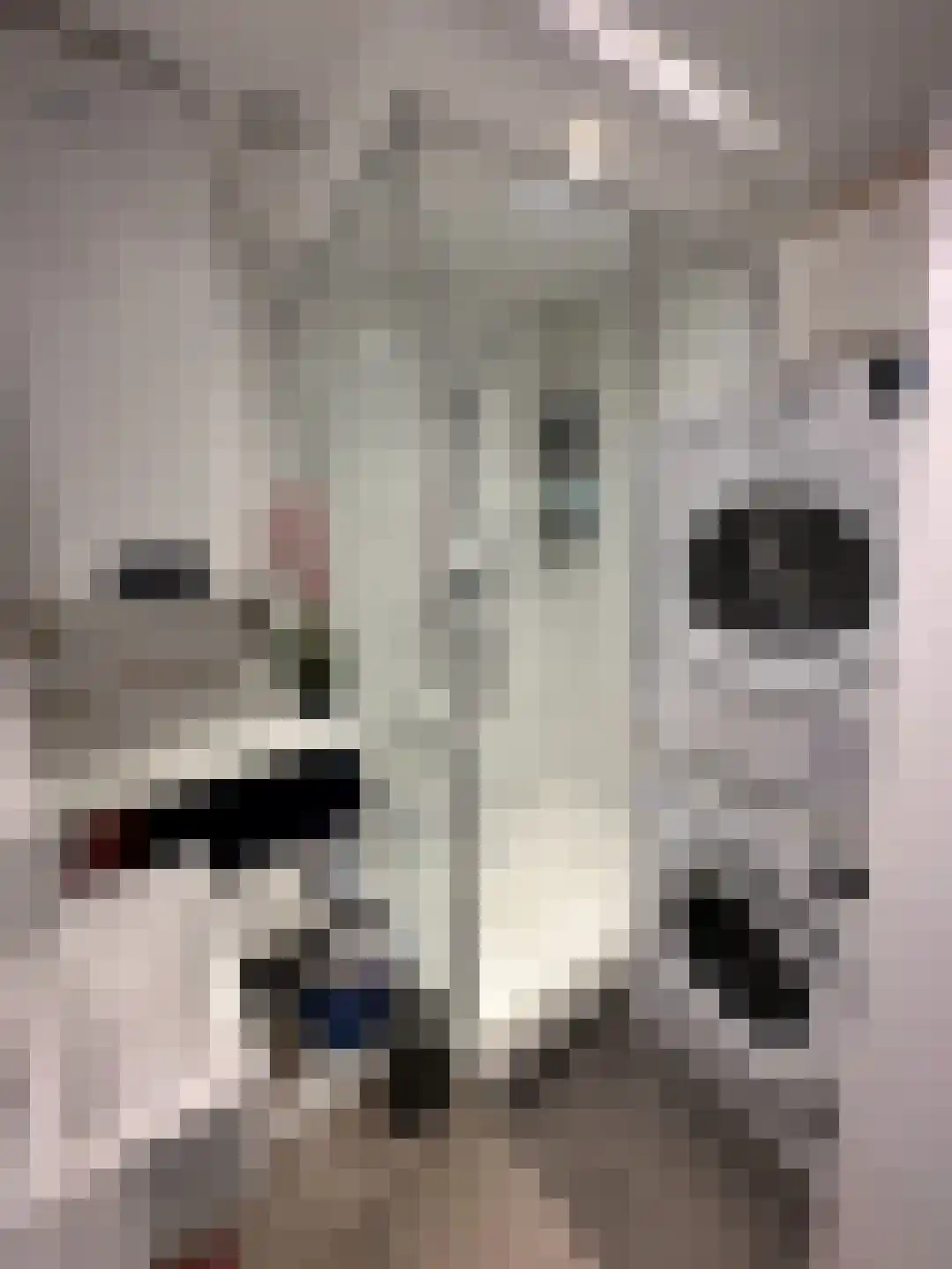 Bosboom-Toussaintplein 19 Delft thumbnail 6