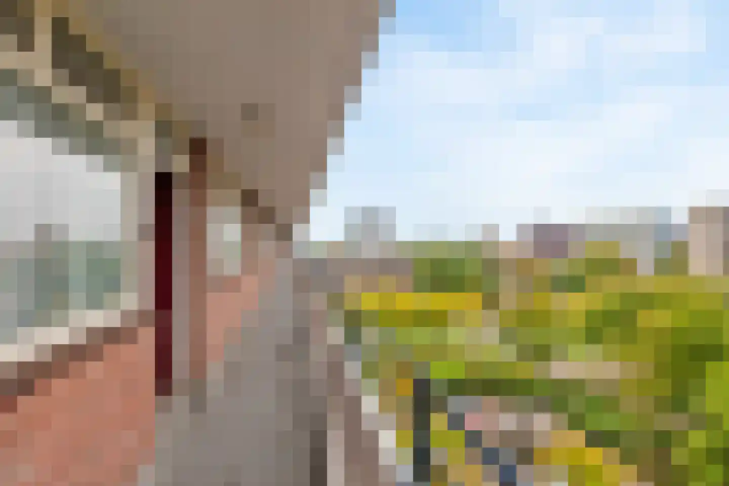 Bosboom-Toussaintplein 205 Delft thumbnail 5