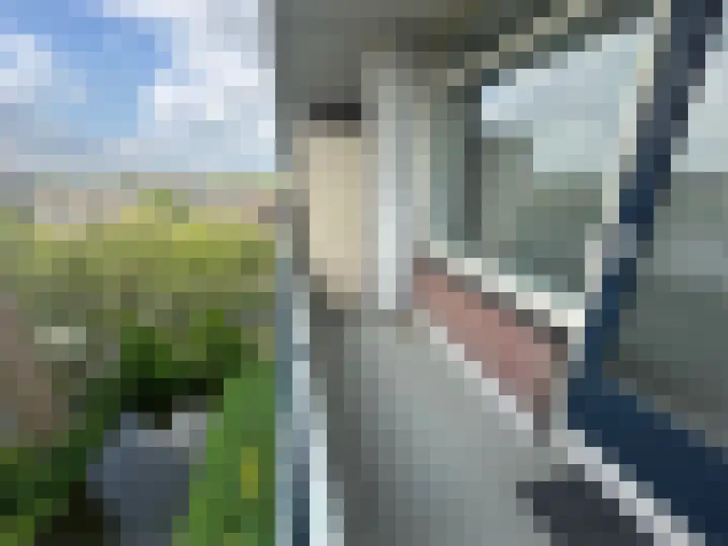 Bosboom-Toussaintplein 214 Delft thumbnail 5