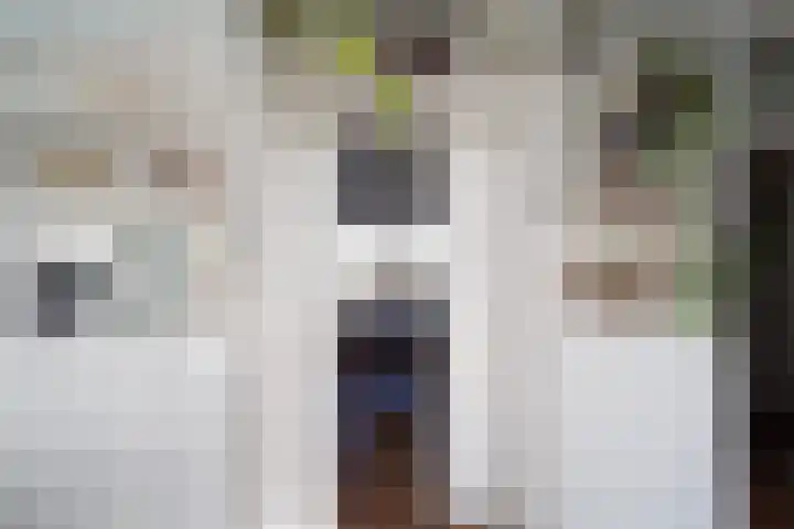Bosboom-Toussaintplein 236 Delft thumbnail 19