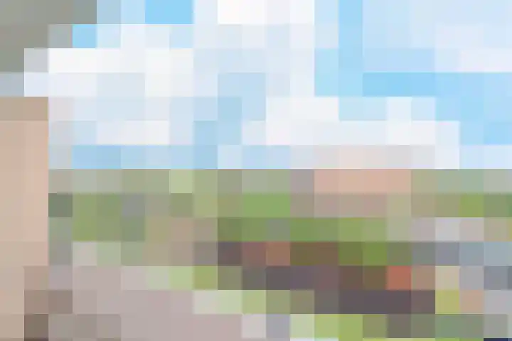 Bosboom-Toussaintplein 238 Delft thumbnail 17
