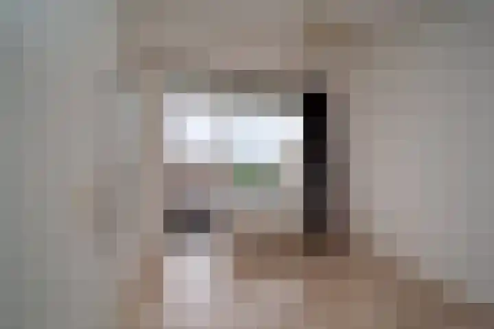Bosboom-Toussaintplein 259 Delft thumbnail 16
