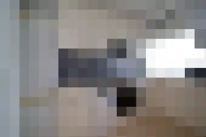 Bosboom-Toussaintplein 259 Delft thumbnail 7