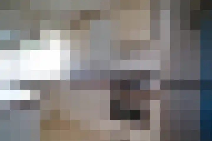 Bosboom-Toussaintplein 264 Delft thumbnail 6