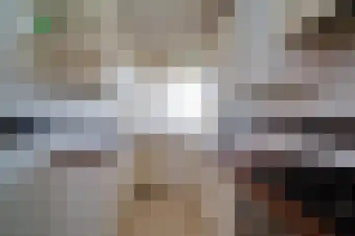 Bosboom-Toussaintplein 264 Delft thumbnail 7
