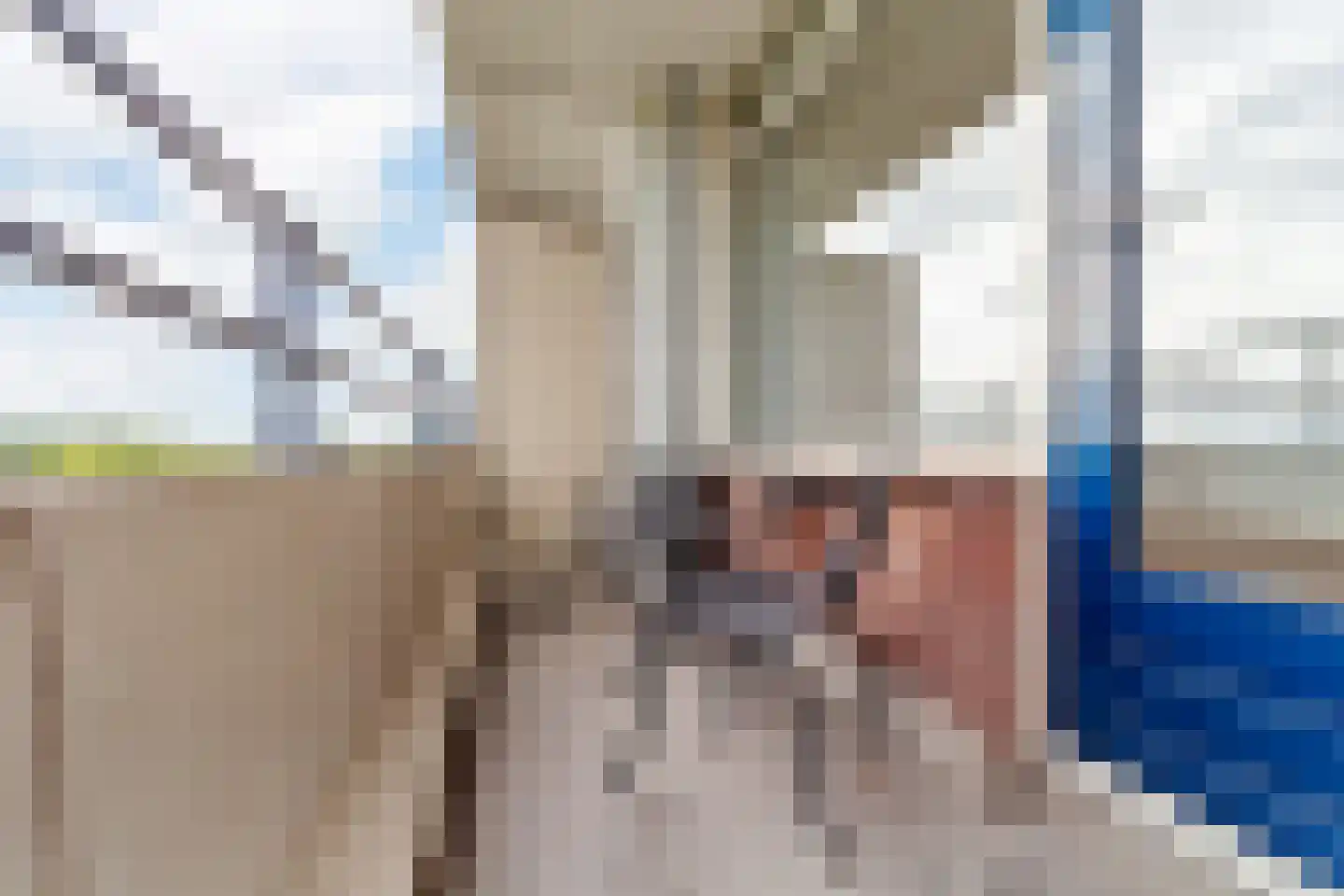 Bosboom-Toussaintplein 66 Delft thumbnail 17