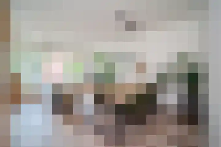 Bosboom-Toussaintplein 98 Delft thumbnail 13