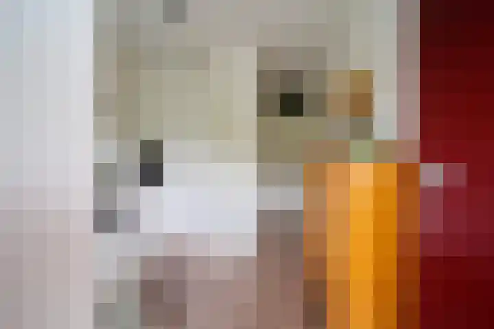 Bosboom-Toussaintplein 98 Delft thumbnail 6
