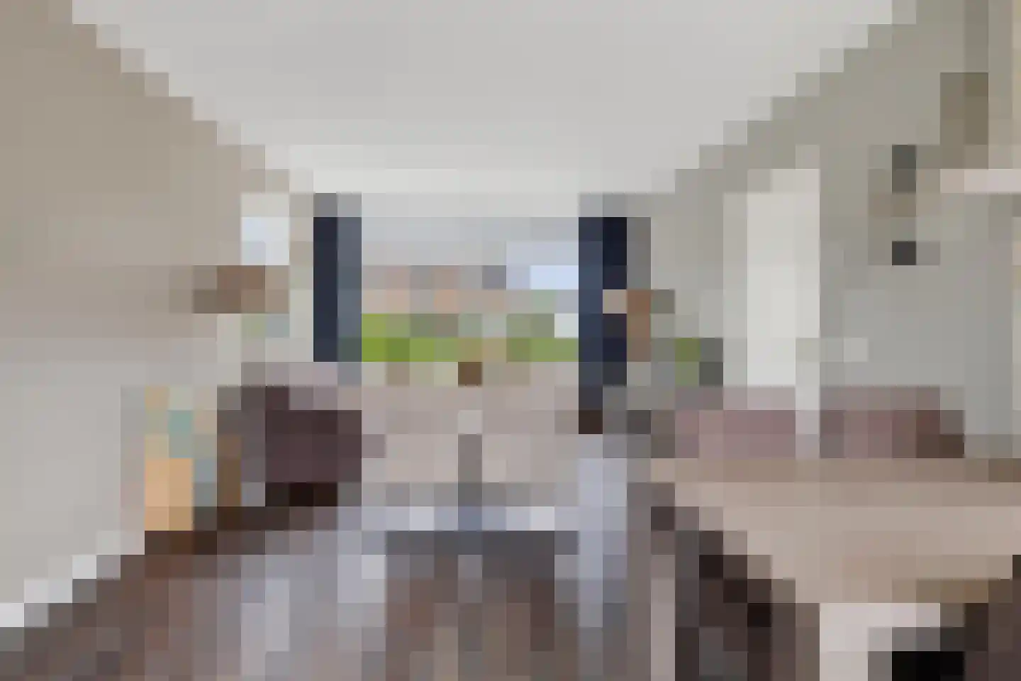Bosboom Toussaintsingel 5 Waddinxveen thumbnail 11