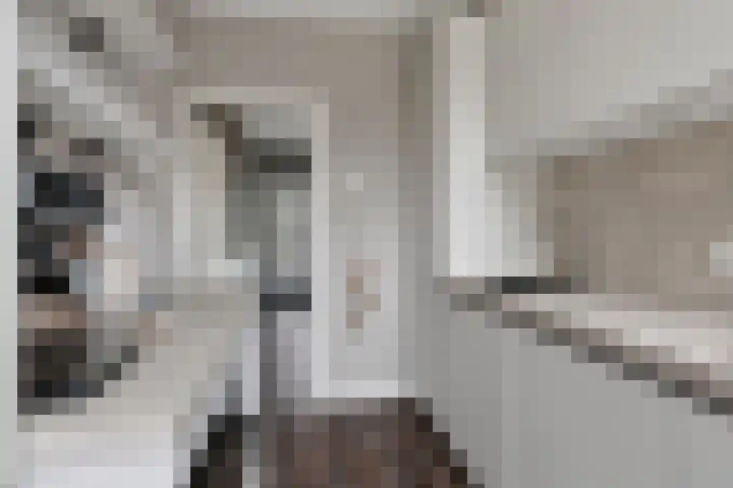 Bosboom Toussaintsingel 5 Waddinxveen thumbnail 13
