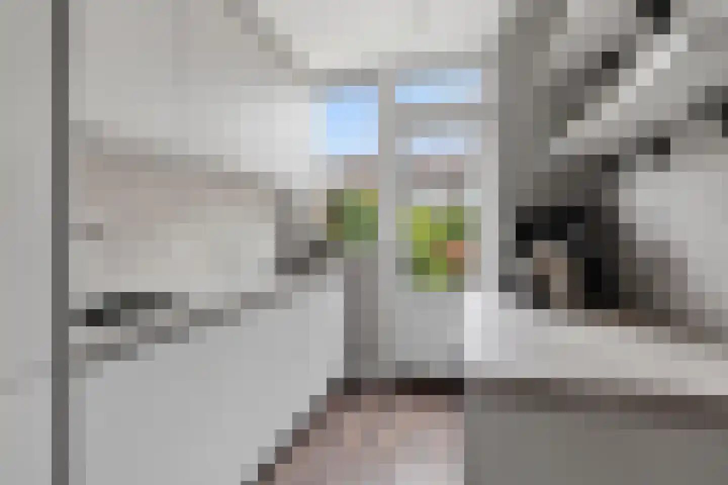 Bosboom Toussaintsingel 5 Waddinxveen thumbnail 15