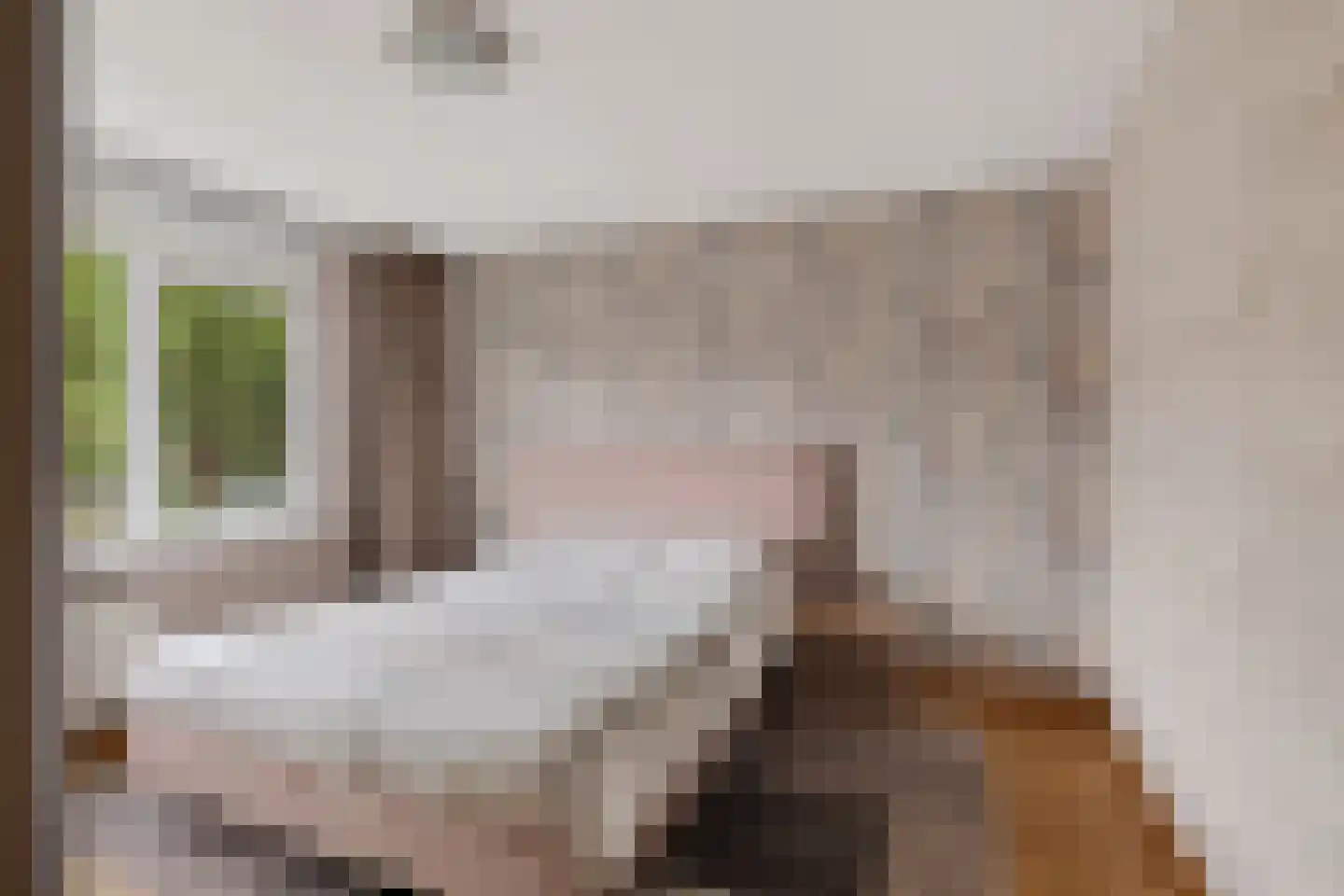Bosboom Toussaintsingel 5 Waddinxveen thumbnail 20