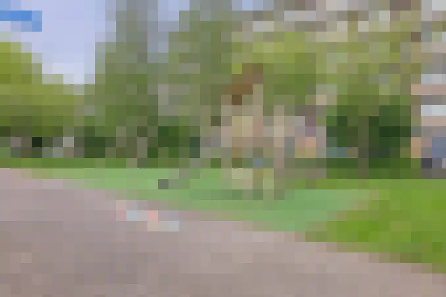 Bosboom Toussaintsingel 5 Waddinxveen thumbnail 33