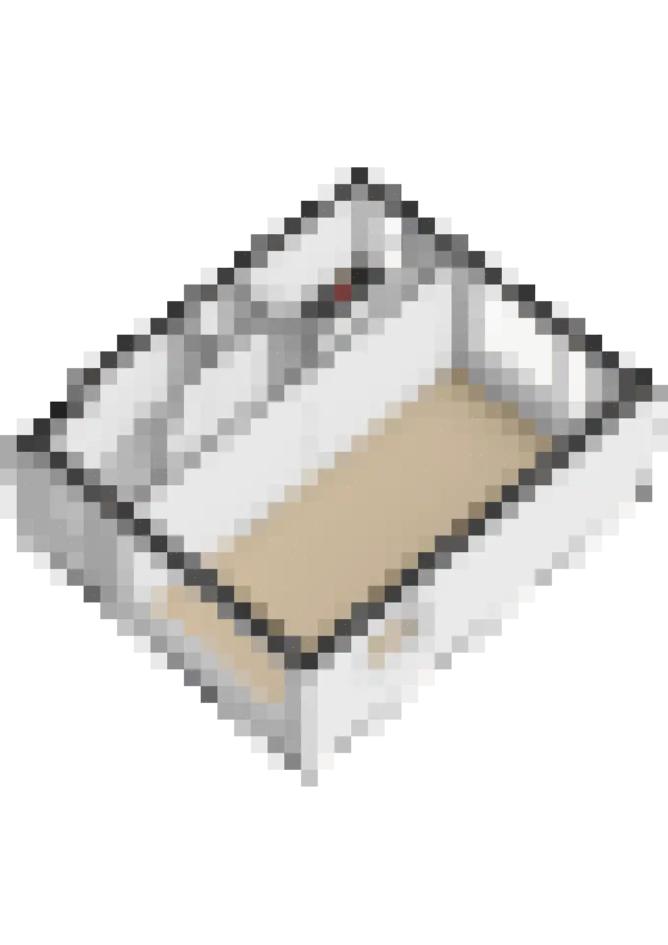 Bosboom Toussaintsingel 5 Waddinxveen thumbnail 35
